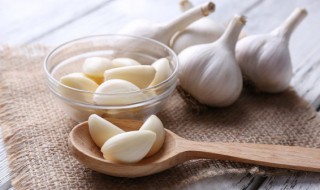 什么时候种植大蒜最好 什么时候种植大蒜最好吃
