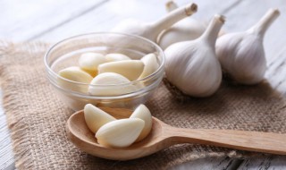 十一月份适合种什么蔬菜（十一月份适合种什么蔬菜瓜果豆?）