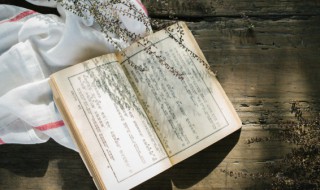 谁言寸草心的下一句（谁言寸草心的下一句是啥）