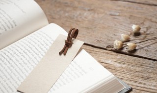 今晚月色真美下一句（今晚月色真美是什么意思）