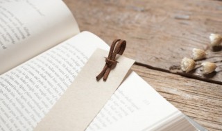 养育之恩大于天下一句是什么(养育之恩的经典句子)