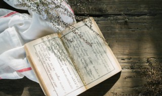 纸上得来终觉浅下一句（纸上得来终觉浅下一句诗句是什么）