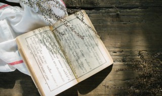 心之所向下一句 心之所向 行之所往 未来可期