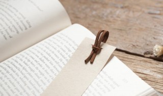 有志者事竟成下一句（有志者事竟成类似的名言名句）