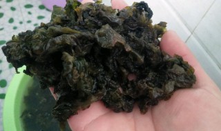 地木耳怎么做好吃 五种人不宜吃木耳