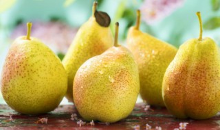 糖梨子怎么做好吃 糖梨子怎么做好吃又简单