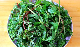 干马齿苋怎么做好吃 晒干马齿苋的做法大全