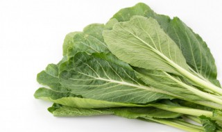 芥菜怎么腌制好吃 怎么腌芥菜又脆又好吃