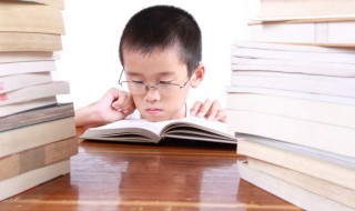 栏字组词 柱字组词