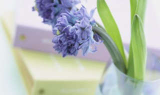 清镜无双影穷泉有几重的意思