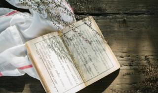 脍炙人口的成语故事 脍炙人口的成语故事简介