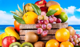 大雪养生吃什么好 大雪进补,吃什么最养生