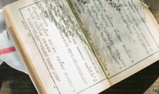 有一利必有一弊的成语故事（有一利必有一弊的成语故事吗）