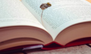 最好的座右铭大全 最经典的座右铭大全