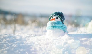 冬天养生饮食 冬天养生饮食有哪些