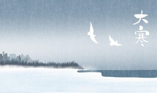 大寒养生小窍门介绍（大寒养生小窍门介绍图片）