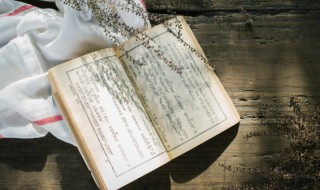 莫逆之交的成语故事（莫逆之交的成语故事有哪些）