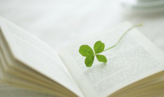 影只形单的意思(形单影只和形只影单的意思一不一样)