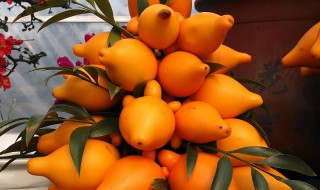 黄金果功效与作用是什么 黄金果功效与作用是什么样的