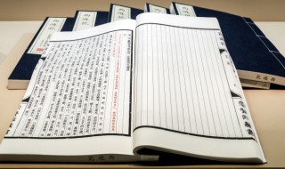 伏雨朝寒愁不胜那能还傍杏花行的意思 伏雨朝寒愁不胜那能还傍杏花行什么意思