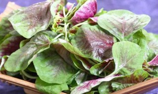 苋菜晒干的功效与作用是什么 干的苋菜有什么作用?