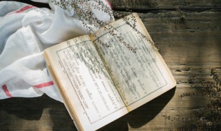 语已多情未了回首犹重道的意思 语已多情未了什么意思