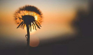 做人格言霸气简短（做人格言霸气简短感恩）