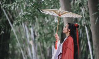 描写雨的诗句集锦（描写雨的诗句集锦图片）