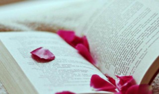 受宠若惊意思（受宠若惊意思相近的词）