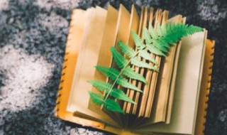 大雪节气唯美诗句 大雪节气诗意优美诗句