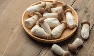 口蘑和草菇有什么区别（口菇和口蘑的区别）