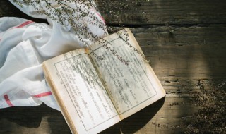 春且住见说道天涯芳草无归路的意思（春且住 见说道 天涯芳草无归路什么意思）