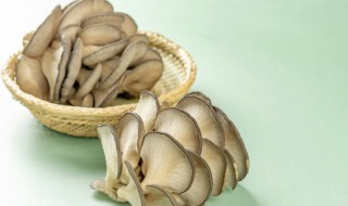 干草菇泡了几天可以吃吗（草菇干要泡多久）