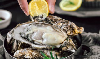 怎么打开生蚝最方便 开生蚝壳最简单方法视频教程