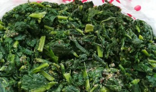 蔓青是什么菜(蔓青是什么菜图片大全)