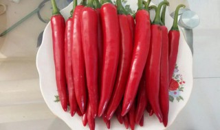 红尖椒辣不辣（牛角红尖椒辣不辣）