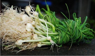 野葱头孕妇能吃吗（野葱孕妇可以吃吗?）