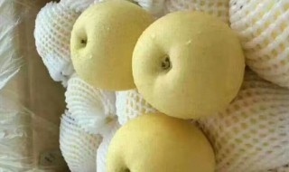 黄金梨什么时候上市（黄金梨啥时候成熟）