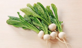 蔓青的功效与作用是什么(蔓青有什么功效)