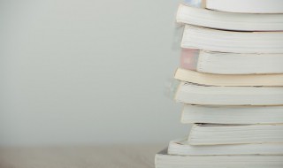 车辚辚马萧萧行人弓箭各在腰的意思 车辚辚 马萧萧 行人弓箭各在腰的意思