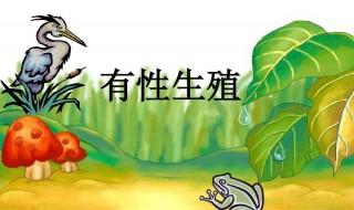 有性繁殖的优缺点（有性繁殖的优缺点有哪些）