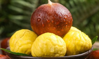 板栗泡酒多长时间才能饮用（板栗泡酒多久能有效果）