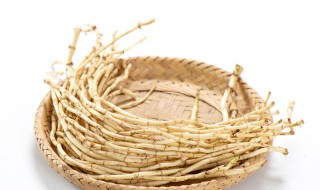 直根系和须根系的特点（直根系和须根系的特点感受）