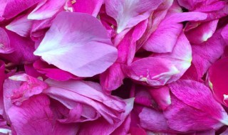 长期吃玫瑰花粉的危害 长期吃玫瑰花粉的危害有多大