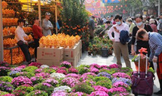 秋冬季节适合养什么花（秋冬季节适合养什么花盆）
