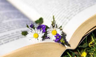 竹树无声或有声霏霏漠漠散还凝的意思 竹树无声或有声霏霏漠漠散还凝的解释