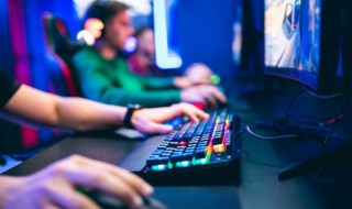 原神岩龙蜥在哪 原神岩龙蜥在哪怎么找不到