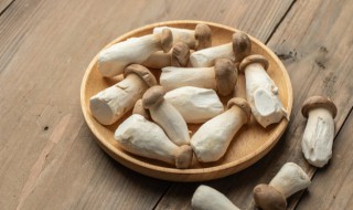 杏鲍菇性寒还是性温 杏鲍菇性寒吗