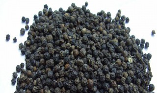 黑芥子的功效与作用（芥子作用和功效）