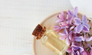 茶树精油的功效与用法 茶树精油的48种用途